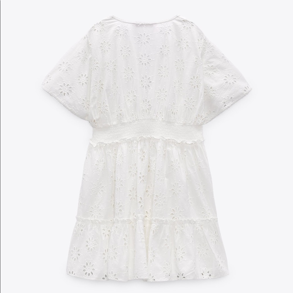 Zara Openwork Embroidered Mini Dress - Picture 6 of 8